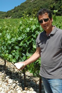 i sassi in vigneto